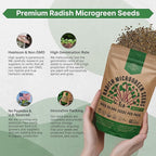 Organo Republic Radish Sprouting & Microgreens Seeds - Non-GMO, Heirloom Sprout Seeds Kit, 1lb Resealable Bag for & Growing Microgreens in Soil, Coconut Coir, Aerogarden & Hydroponic System.