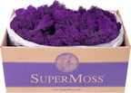 Super Moss (25145) Reindeer Moss Preserved, Purple, 3lbs