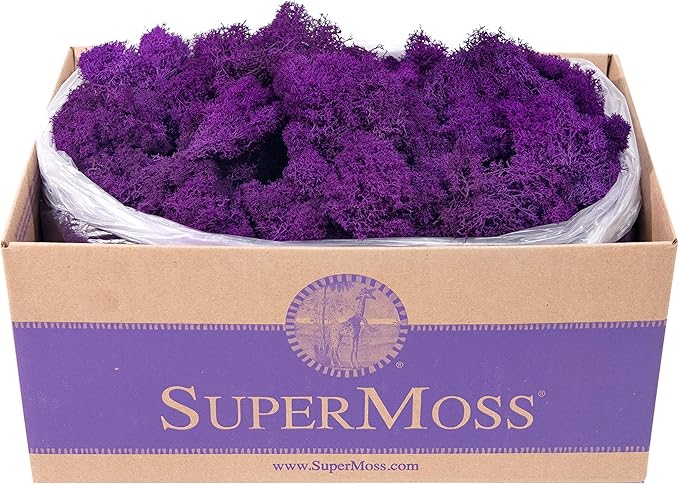 Super Moss (25145) Reindeer Moss Preserved, Purple, 3lbs