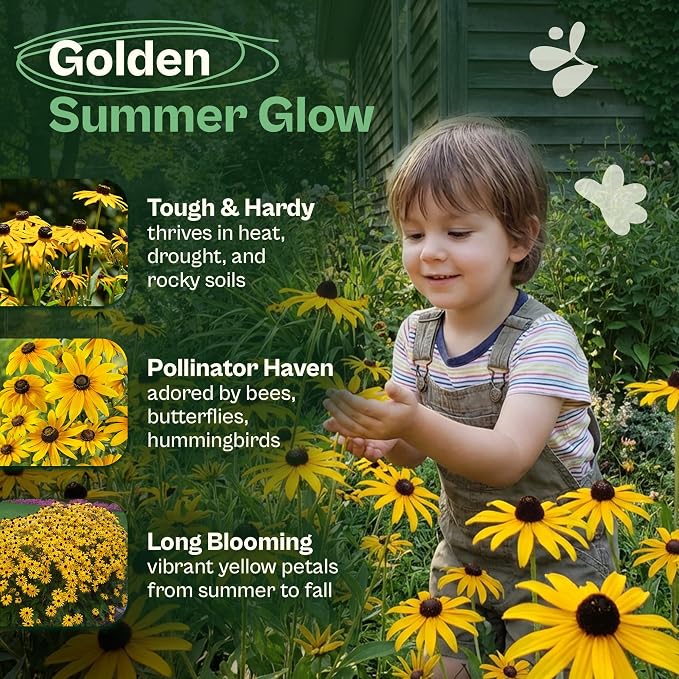 SVI 7500 Black Eyed Susan Seeds (Rudbeckia Hirta) – Black-Eyed Susan Wildflower Seed Packets Bulk, Rudbeckia – Daisy Flower Seeds for Outside & Indoor Flower Garden Containers