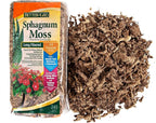 Better-Gro Sphagnum Moss - 100% Natural, Long-Fiber Moss for Orchids, Ferns, and Hostas, Excellent for Hanging Baskets and Propagating Plants - 240 Cubic Inches