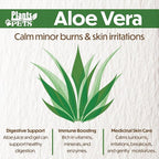 PFPX 9CM Aloe Vera (Solo) V2