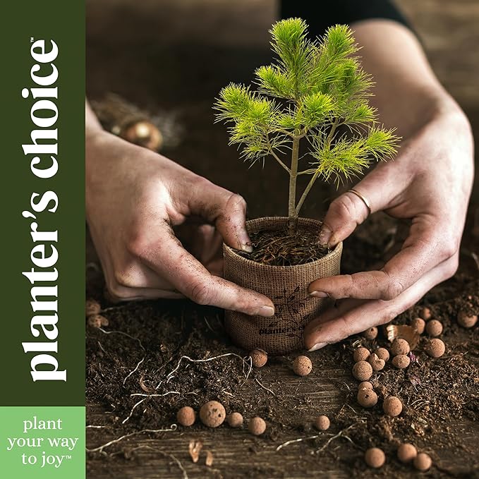Planter's Choice Bonsai Tree Starter Kit - Unique Easter Gifts for Women, Men - Birthday Gifts for Adults - Indoor Live House Plants - DIY for Adults Craft Kits - Hobby Gift Gardening Lovers