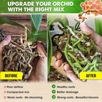 [Upgraded] DUSPRO Orchid Potting Mix for Repotting with Forest Moss, Pine Bark, Perlite & Pumice Natural Ingredients, Orchid Bark Potting Mix, Orchid Repotting Kit Drainage Indoor Potting Medium 2QT