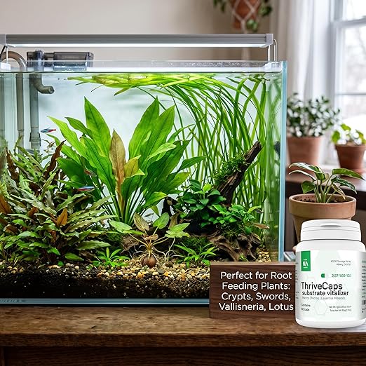 ThriveCaps Aquarium Root Cabs – Premium Root Fertilizer for Live Plants – Slow Release – Strong NPK + Micros – Safe for Shrimp & Snails – 60 Count