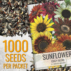 Seed Needs Sunflower Seeds for Planting The Original Crazy Blend | 1 Ounce 15+ Heirloom Varieties Open Pollinated & Untreated | Resealable Bulk Package Multicolored Blooms Flower Seeds