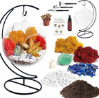 Creations by Nathalie - 5" Glass Globe Succulent Terrarium Kit, Hanging DIY Starter Kit for Kids and Adult, Metal Stand, Reindeer Moss, Crystal & Rocks, Tools, Figurine (Live Plant Included)