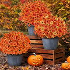 24 Bundles Artificial Fall Flowers for Outdoors, Realistic Fake Silk Flowers for Outside Decoration, Autumn Faux Plants Outdoor Planter Window Box Porch Patio Decor(Orange)
