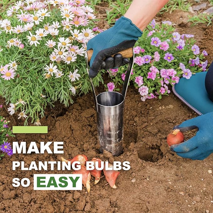 Haliaeetus Bulb Planter Tool, 6 inches Depth Mark Hand Bulb Planter, Non-Bending Stainless Steel Bulb Planter Digger, Garden Bulb Transplanter with Comfortable Wood Handle for Planting Tulip, Daffodil