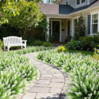 16 Bundles Artificial Plants Outdoor, UV Resistant Fake Lavender & Monkey Grass, Realistic Plastic Faux Plants for Balcony, Patio, Porch Greenery Decor, Planter Filler(White)