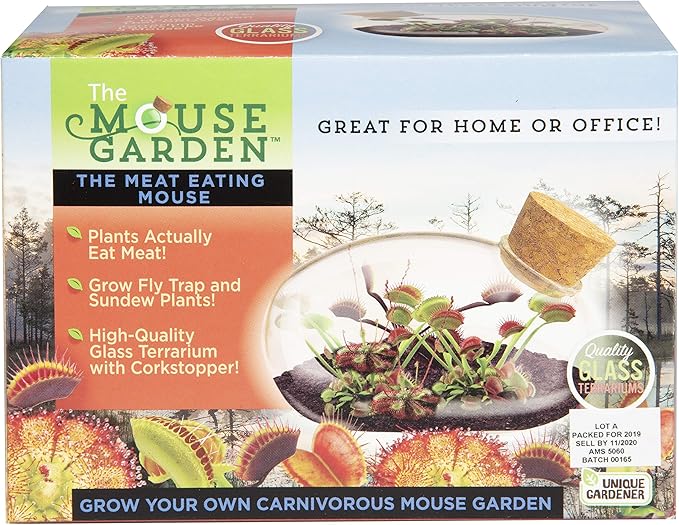 Grow Your Own Carnivorous Mouse Garden with Our Glass Terrarium Starter Kit - Fun and Easy to Grow Complete Supplies Included - Plant A Mini Garden That Will Last for Years - Great for Home Or Office