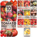 Tomato Seeds | 10 Individual Packs | 2026 Season | Non-GMO | Roma, Brandywine, Cherry & More! | for Planting Indoor & Outdoor | by Family Sown