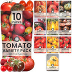 Tomato Seeds | 10 Individual Packs | 2026 Season | Non-GMO | Roma, Brandywine, Cherry & More! | for Planting Indoor & Outdoor | by Family Sown