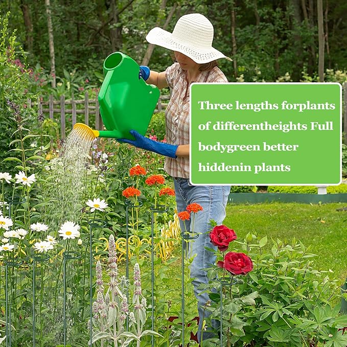 36 Inch Plant Stakes Tall(4 Set), Adjust Three Sizes(12 or 24 or 36 Inch) Plant Support Stakes for Outdoor or Indoor,Garden Plant Stakes for Flowers Amaryllis Tomato Lily Peony Rose Flower Narcissus