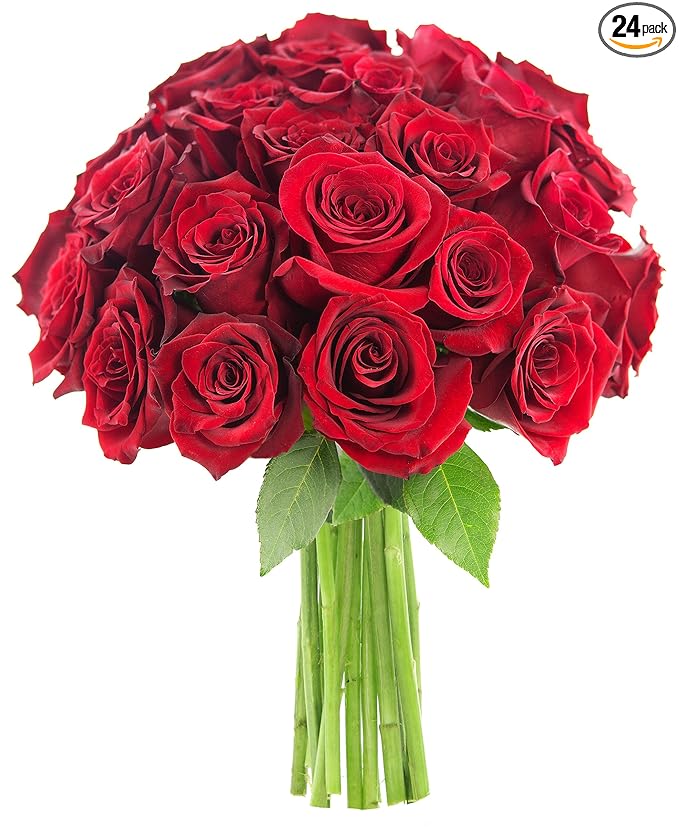 KaBloom - Bouquet of Long Stemmed Red Roses (Two Dozen) - Without Vase - Fresh Flowers for Birthday, Valentine's & Mother's Day