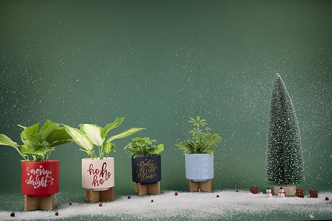 Ceramic Holiday Planter Pot, Let it Snow Design, Powder Blue & White, Holds 4" House Plant or Succulent, Festive Winter Christmas Home Décor with Wood Stand