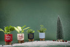 Ceramic Holiday Planter Pot, Let it Snow Design, Powder Blue & White, Holds 4" House Plant or Succulent, Festive Winter Christmas Home Décor with Wood Stand