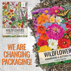 Seed Needs Wildflower Seeds Butterfly and Hummingbird Seed Mix 2 Ounce No Filler | 23 Varieties Annual & Perennial Species Such as Butterfly Milkweed, Cosmos & Zinnia | Resealable Bulk Package