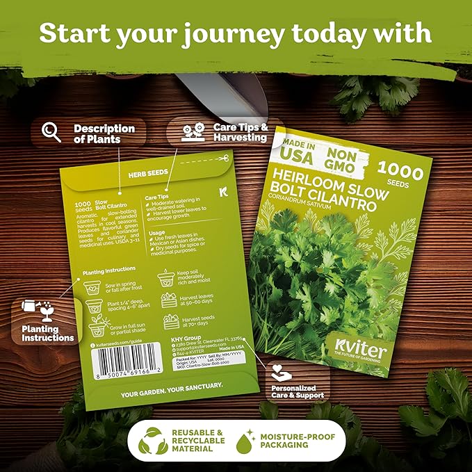 KVITER 1000 Slow Bolt Cilantro Seeds (Coriandrum sativum) - Cilantro Organic Seed, Slow to Bolt Coriander Seed, Aromatic Leaves - Herb Seeds for Planting in Outdoor & Indoor Garden