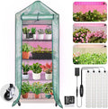 DazSpirit Mini Indoor Greenhouse with Grow Light, Portable 4-Tier Plant Stand with PVC Cover, Adjustable Shelves & Thermohygrometer for Seed Starting & Plant Growth, 70 x 23 x 19'', 32W Grow Light