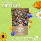 Drought Tolerant Wildflowers Mix – Bulk 1 Pound Bag – Over 120,000 Open Pollinated Non-GMO Seeds – 21 Different Dryland Species