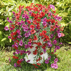 Artificial Flowers for Outdoors Spring Decor, 6 Bundles UV Resistant Realistic Faux Silk Hanging Flowers, Fake Plants for Planter Indoor Outside Garden Porch Patio Balcony Yard Farmhouse