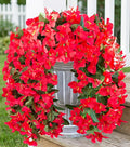 HyeFlora Bougainvillea Artificial Hanging Flowers Plants for Outdoors Decoration, 2pcs Red Fake Flowers Silk Bougainvillea Vines Realistic UV Resistant Faux Flowers for Outside Planters Porch Patio