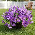Artificial Flowers for Outdoor, UV Resistant Fake Silk Pansies Flowers, Realistic Faux Plants for Outside Indoor Porch Patio Window Box Planter Home Decor (16, Purple)