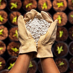 Perlite Bliss (16 Qts) - Organic Perlite for Plants Indoor Soil Amendment - Horticultural Perlite for Gardening & Seed Starting - Mixes Easily with Potting Soil, Vermiculite, & Coco Coir for Plants