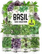 Seed Needs Culinary Basil Herb Seed Packet Collection (8 Individual Basil Seed Varieties for Planting) Non-GMO & Untreated Kitchen Herbs to Plant Indoors/Outdoors