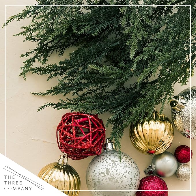 Live Dark Green Cypress Tree - Tabletop Decoration - 12" Tall by 5" Wide in Deco Cover
