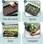 Mr. Pen- Plastic Growing Trays, 10 Pack, Black, 17”x10”, Plant Tray, Seed Tray, Seedling Tray, Propagation Tray, Plant Trays for Seedlings, Seedling Starter Trays, Microgreens Growing Trays