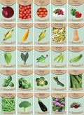 Set of 25 Premium Variety Herbs and Vegetables - Deluxe Garden Choices for Premium Gardening! - (25 Premium Vegetable Seeds)