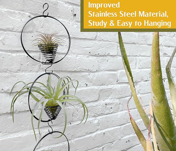 5.5" Air Plant Hangers for Ceiling & Windows, Airflow Hanging Air Plant Holder, Tillandsia Succulent Display Holders for Plant Wall - 3 pcs