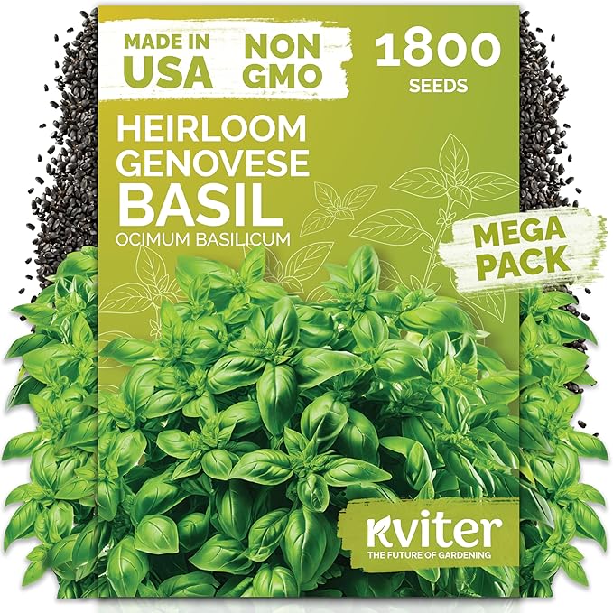 KVITER 1800 Genovese Basil Seeds for Planting (Ocimum basilicum) - Classic Savory Sweet Italian Basil - Non GMO & Heirloom Seeds for Kitchen Herb Garden, Containers & Beds, Indoors/Outdoors