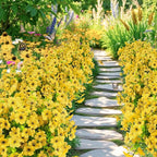 ATTGREAT Artificial Flowers Outdoor Faux Plants UV Resistant Fake Patio Flowers Plastic Greenery Plnats Outside Bulk for Spring Garden Hanging Planter Home Vase Decor, 12 Bundles (Yellow)