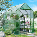 SPECILITE 56×85×77Inch Walk-in Greenhouse, Heavy Duty Small Plant House with Thicken PE Cover and Steel Frame, for Garden, Outdoors, Indoors, Green