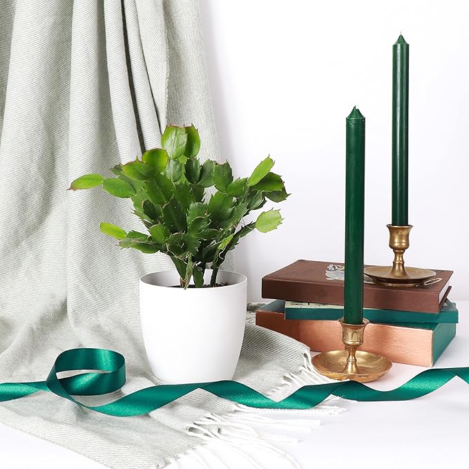 Thorsen's Greenhouse Holiday Cactus, Christmas Cactus, Live Indoor Plant, Pet Safe, 4" Diameter Pot, Classic Pot Cover (White)