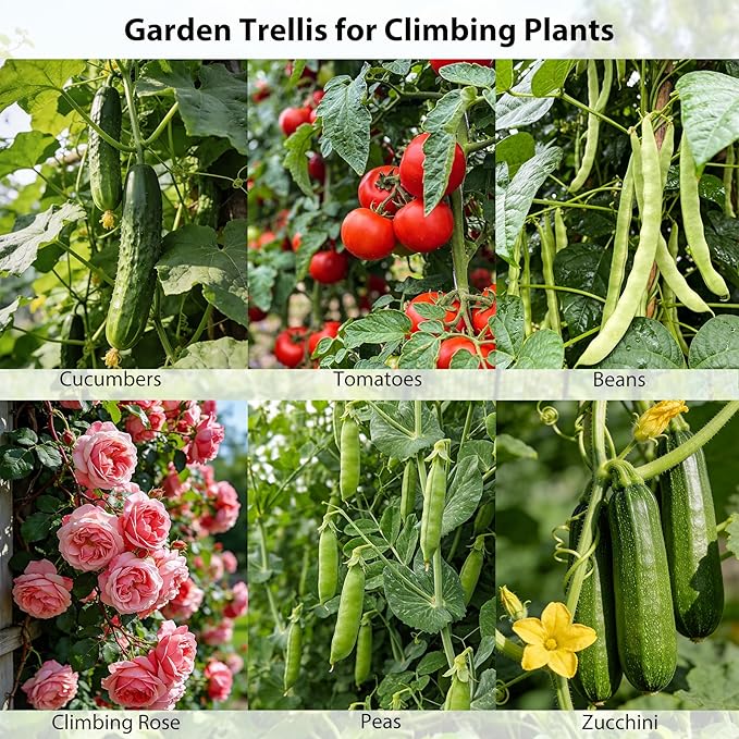 Miory 2 Pack Cucumber Trellis, 32"×48" Garden Trellis for Climbing Plants Outdoor, A-Frame Vegetable Trellis for Raised Bed, Support for Tomatoes, Zucchini, Vines, Flowers