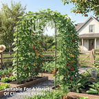DoCred 3 in 1 Raised Garden Bed with 87in Tall Arch Trellis for Climbing Plants, Galvanized Planter Garden Box Outdoor for Gardening, Climbing Vegetables, Flower, Black