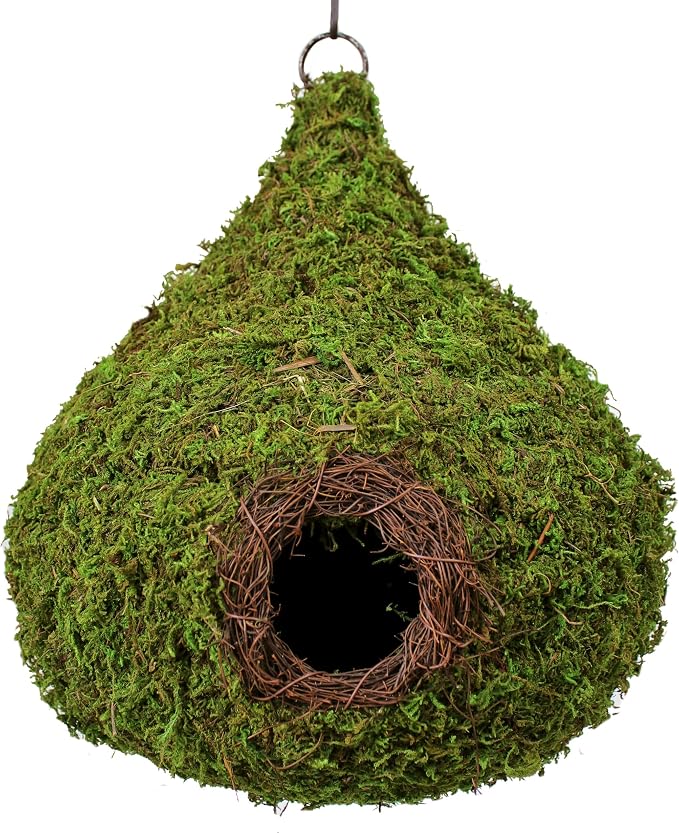 SuperMoss (56010) Raindrop Birdhouse with Chain, 10 by 13-Inch, Fresh Green