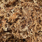 Better-Gro Sphagnum Moss - 100% Natural, Long-Fiber Moss for Orchids, Ferns, and Hostas, Excellent for Hanging Baskets and Propagating Plants - 240 Cubic Inches