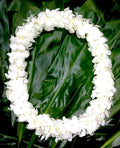eflowerwholesale - Fresh Hand Made Dendrobium Orchid Lei Purple (White)