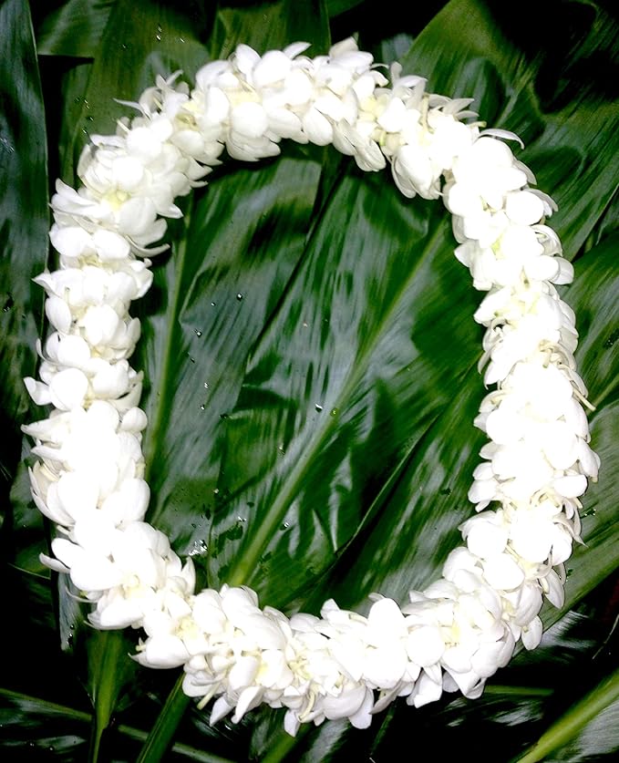 eflowerwholesale - Fresh Hand Made Dendrobium Orchid Lei Purple (White)