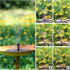 AISITIN Solar Fountain Pump 2.5W, 6.7" Solar Powered Water Fountain for Bird Bath, Solar Pump with 6 Nozzles for Garden, Ponds, Pool, Fish Tank, Outdoor and Aquarium, 2 Pack