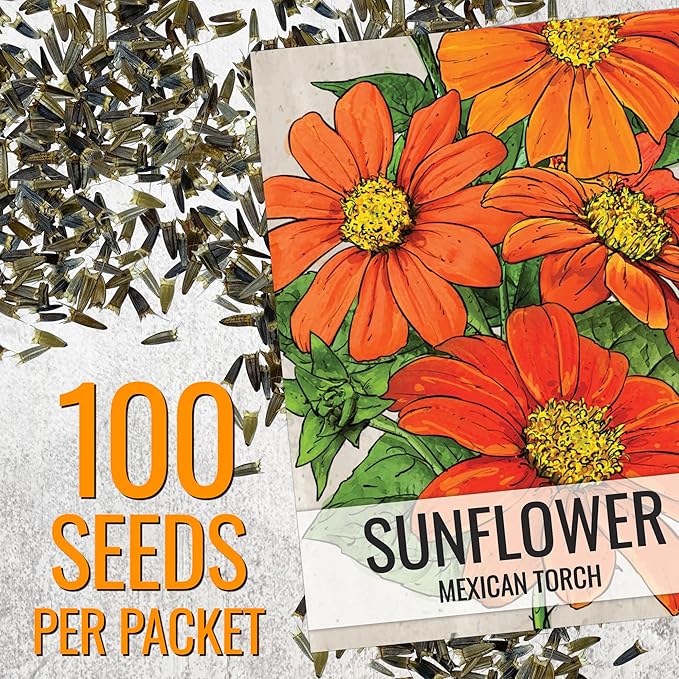 Seed Needs Mexican Sunflower Seeds for Planting Tithonia rotundifolia Flowers - Heirloom & Open Pollinated Annual Flower Seed to Plant an Outdoor Butterfly Garden (2 Packs)