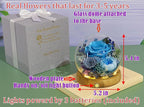 Valley of Rain & Forest Long-Lasting Real Flowers, Unique Floral Gift For you to send Love for All Occasions, for Indoor Decoration (Blue Rose, Grey & White-Blue Austin Roses)