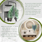5 Kinds Eucalyptus & Lavender Stems - 17" Natural Fresh Hanging Real Leaves Shower & Home Decor Aromatic Plant (1 Pack Set - 17 inch)