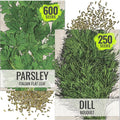 Seed Needs Italian Parsley & Dill Seeds for Planting Fresh Kitchen Herbs - Non-GMO Heirloom & Untreated Perennial Herb Seed to Plant a Culinary Garden Indoors or Outdoors (2 Pack Duo)
