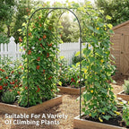 DoCred 3 in 1 Galvanized Raised Garden Bed, 2Pcs Garden Planter Box with 87" H Trellis for Climbing Plants, Outdoor Gardening Raised Beds with Climbing Net for Fruits, Vegetables, Flower (Black)